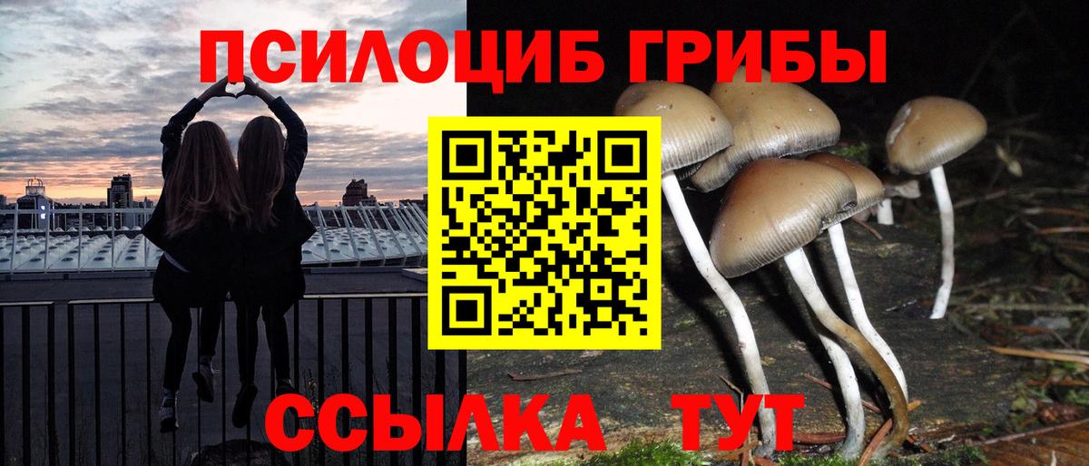 Псилоцибиновые грибы MAGIC MUSHROOMS Отрадное